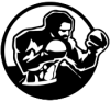 Elite Boxing